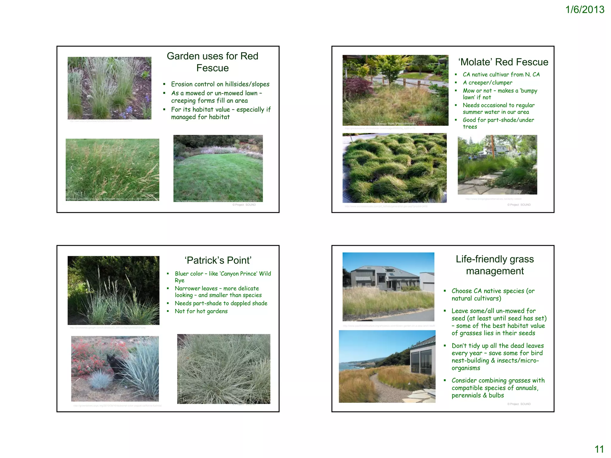 1/6/2013



                                                                                          Garden uses for Red
                                                                                                                                                                                                                                                                         ‘Molate’ Red Fescue
                                                                                               Fescue
                                                                                                                                                                                                                                                                        CA native cultivar from N. CA
                                                                                          Erosion control on hillsides/slopes                                                                                                                                          A creeper/clumper
                                                                                          As a mowed or un-mowed lawn –                                                                                                                                                Mow or not – makes a ‘bumpy
                                                                                                                                                                                                                                                                         lawn’ if not
                                                                                           creeping forms fill an area
                                                                                                                                                                                                                                                                        Needs occasional to regular
                                                                                          For its habitat value – especially if                                                                                                                                         summer water in our area
   http://www.wnps.org/landscaping/herbarium/pages/festuca-rubra.html
                                                                                           managed for habitat                                                                                                                                                          Good for part-shade/under
                                                                                                                                                                           http://photobotanic.photoshelter.com/image/I0000Gq_hp6FuY7k                                   trees




http://daamaaextweb.gnb.ca/010-002/Details.aspx?Culture=fr-CA&Id=194&Pid=1884                                                                                                                                                                                             http://www.bringingbackthenatives.net/betty-nelson
                                                                                              http://www.anniesannuals.com/plt_lst/lists/general/lst.gen.asp?prodid=422
                                                                                                                                                 © Project SOUND                                                                                                                                               © Project SOUND
                                                                                                                                                                           http://www.anniesannuals.com/plt_lst/lists/general/lst.gen.asp?prodid=3439




                                                                                                     ‘Patrick’s Point’                                                                                                                                                Life-friendly grass
                                                                                             Bluer color – like ‘Canyon Prince’ Wild                                                                                                                                    management
                                                                                              Rye
                                                                                             Narrower leaves – more delicate                                                                                                                                      Choose CA native species (or
                                                                                              looking – and smaller than species
                                                                                                                                                                                                                                                                    natural cultivars)
                                                                                             Needs part-shade to dappled shade
                                                                                             Not for hot gardens                                                                                                                                                  Leave some/all un-mowed for
                                                                                                                                                                                                                                                                    seed (at least until seed has set)
   http://picasaweb.google.com/lh/photo/yG_BWGyr5gCqdv6QZGPdwg
                                                                                                                                                                          http://www.pacifichorticulture.org/articles/a-wind-blown-garden-on-a-sea-ranch-bluff/     – some of the best habitat value
                                                                                                                                                                                                                                                                    of grasses lies in their seeds

                                                                                                                                                                                                                                                                   Don’t tidy up all the dead leaves
                                                                                                                                                                                                                                                                    every year – save some for bird
                                                                                                                                                                                                                                                                    nest-building & insects/micro-
                                                                                                                                                                                                                                                                    organisms

                                                                                                                                                                                                                                                                   Consider combining grasses with
                                                                                                                                                                                                                                                                    compatible species of annuals,
                                                                                                                                                                                                                                                                    perennials & bulbs
                                                                                                                                                 © Project SOUND                                                                                                                                               © Project SOUND
      http://grownatives.cnps.org/2010/08/16/seasonal-color-august-california-fuchsia/




                                                                                                                                                                                                                                                                                                                                      11
 