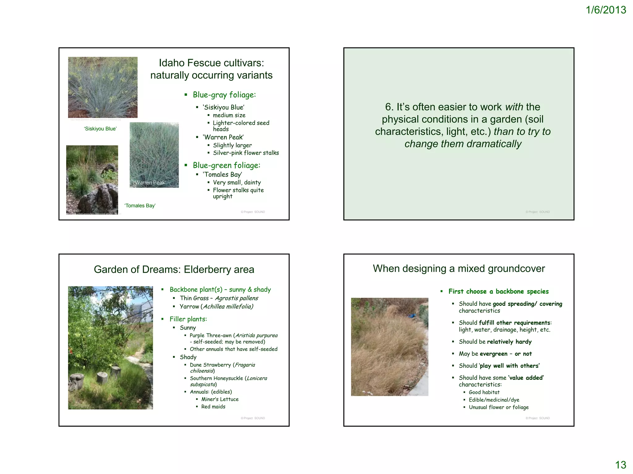 1/6/2013




                                                                      Idaho Fescue cultivars:
                                                                     naturally occurring variants
                                                                                   Blue-gray foliage:
                                                                                        ‘Siskiyou Blue’                      6. It’s often easier to work with the
                                                                                               medium size
    http://www.bluestem.ca/images/festuca-idahoensis.jpg
                                                                                               Lighter-colored seed         physical conditions in a garden (soil
                 ‘Siskiyou Blue’                                                                heads
                                                                                        ‘Warren Peak’
                                                                                                                            characteristics, light, etc.) than to try to
                                                                                               Slightly larger                     change them dramatically
                                                                                               Silver-pink flower stalks

                                                                                   Blue-green foliage:
                                                                                        ‘Tomales Bay’
                                                               ‘Warren Peak’                   Very small, dainty
                                                                                               Flower stalks quite
                                                                                                upright
                                                           ‘Tomales Bay’
                                                                                                          © Project SOUND                                                   © Project SOUND
http://www.yerbabuenanursery.com/online_album/1311.htm




                            Garden of Dreams: Elderberry area                                                               When designing a mixed groundcover
                                                                            Backbone plant(s) – sunny & shady                               First choose a backbone species
                                                                               Thin Grass – Agrostis pallens
                                                                               Yarrow (Achillea millefolia)                                    Should have good spreading/ covering
                                                                                                                                                 characteristics
                                                                            Filler plants:
                                                                                                                                                Should fulfill other requirements:
                                                                                Sunny                                                           light, water, drainage, height, etc.
                                                                                    Purple Three-awn (Aristida purpurea
                                                                                     - self-seeded; may be removed)                             Should be relatively hardy
                                                                                    Other annuals that have self-seeded
                                                                                                                                                May be evergreen – or not
                                                                                Shady
                                                                                    Dune Strawberry (Fragaria                                  Should ‘play well with others’
                                                                                     chiloensis)
                                                                                    Southern Honeysuckle (Lonicera                             Should have some ‘value added’
                                                                                     subspicata)                                                 characteristics:
                                                                                    Annuals: (edibles)                                             Good habitat
                                                                                        Miner’s Lettuce                                            Edible/medicinal/dye
                                                                                        Red maids                                                  Unusual flower or foliage

                                                                                                          © Project SOUND                                                   © Project SOUND




                                                                                                                                                                                                   13
 