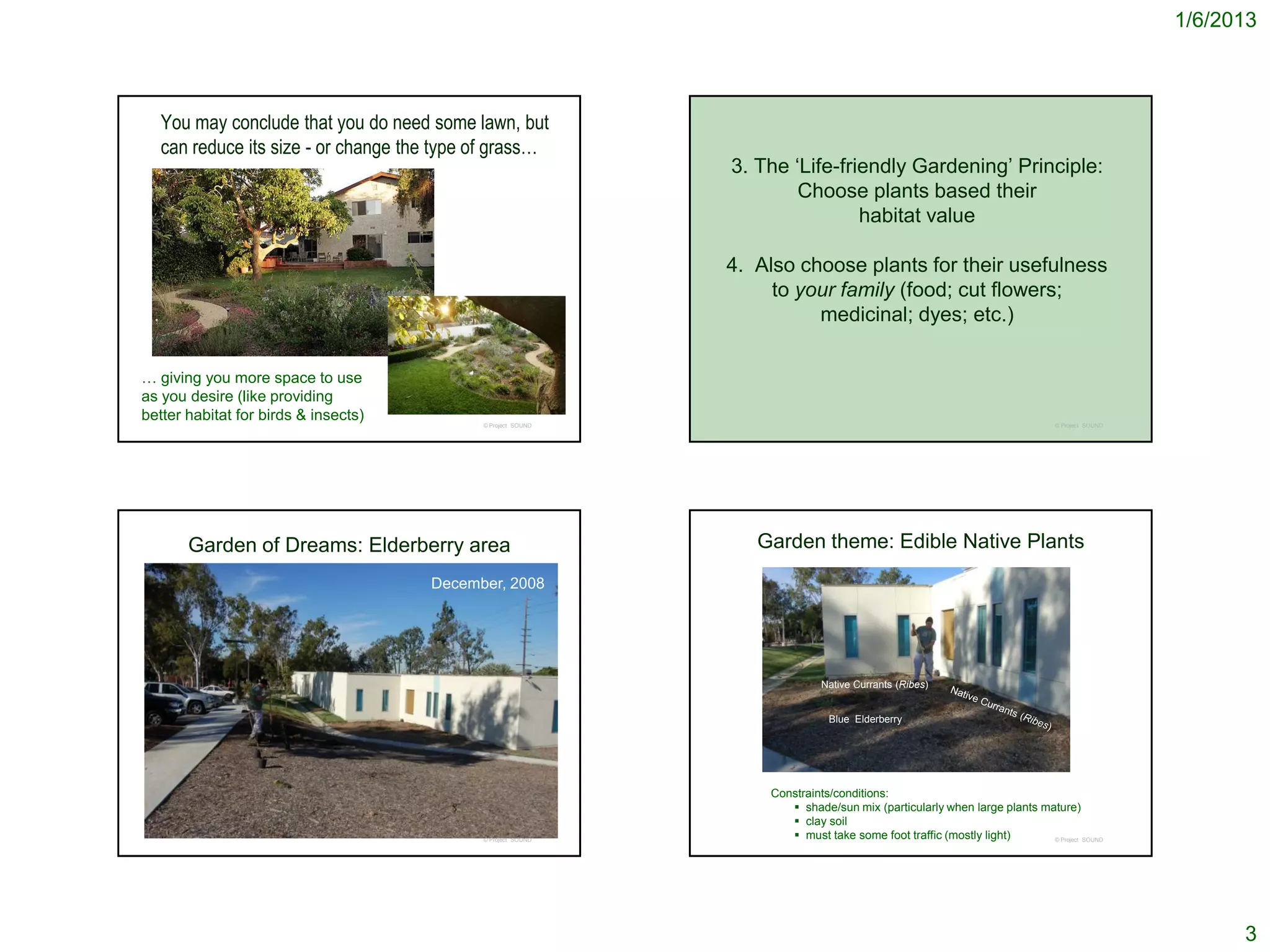 1/6/2013



   You may conclude that you do need some lawn, but
   can reduce its size - or change the type of grass…
                                                              3. The ‘Life-friendly Gardening’ Principle:
                                                                      Choose plants based their
                                                                              habitat value

                                                              4. Also choose plants for their usefulness
                                                                   to your family (food; cut flowers;
                                                                        medicinal; dyes; etc.)

… giving you more space to use
as you desire (like providing
better habitat for birds & insects)         © Project SOUND                                                                 © Project SOUND




       Garden of Dreams: Elderberry area                         Garden theme: Edible Native Plants
                                      December, 2008




                                                                            Native Currants (Ribes)


                                                                             Blue Elderberry




                                                                  Constraints/conditions:
                                                                      shade/sun mix (particularly when large plants mature)
                                                                      clay soil
                                            © Project SOUND           must take some foot traffic (mostly light)      © Project SOUND




                                                                                                                                                    3
 
