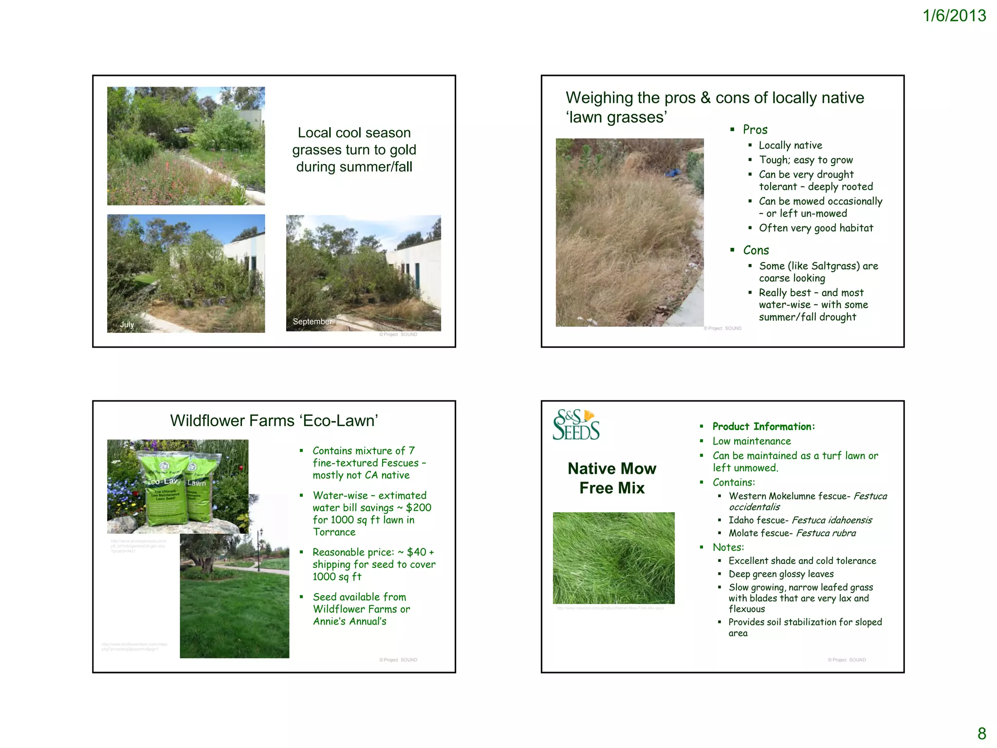 1/6/2013



                                                                                              Weighing the pros & cons of locally native
                                                                                              ‘lawn grasses’
                                                        Local cool season                                                                                      Pros
                                                                                                                                                                       Locally native
                                                       grasses turn to gold
                                                                                                                                                                       Tough; easy to grow
                                                        during summer/fall                                                                                             Can be very drought
                                                                                                                                                                        tolerant – deeply rooted
                                                                                                                                                                       Can be mowed occasionally
                                                                                                                                                                        – or left un-mowed
                                                                                                                                                                       Often very good habitat

                                                                                                                                                               Cons
                                                                                                                                                                       Some (like Saltgrass) are
                                                                                                                                                                        coarse looking
                                                                                                                                                                       Really best – and most
                                                                                                                                                                        water-wise – with some
                                                       September
                                                                                                                                                                        summer/fall drought
         July                                                                                                                                       © Project SOUND
                                                                        © Project SOUND




                                        Wildflower Farms ‘Eco-Lawn’                                                                                  Product Information:
                                                                                                                                                     Low maintenance
                                                         Contains mixture of 7                                                                      Can be maintained as a turf lawn or
                                                          fine-textured Fescues –                                                                     left unmowed.
                                                          mostly not CA native                 Native Mow
                                                                                                                                                     Contains:
                                                         Water-wise – extimated
                                                                                                Free Mix                                                Western Mokelumne fescue- Festuca
                                                          water bill savings ~ $200                                                                       occidentalis
                                                          for 1000 sq ft lawn in                                                                        Idaho fescue- Festuca idahoensis
                                                          Torrance                                                                                      Molate fescue- Festuca rubra
                                                                                                                                                     Notes:
    http://www.anniesannuals.com/
    plt_lst/lists/general/lst.gen.asp
    ?prodid=3421
                                                         Reasonable price: ~ $40 +
                                                          shipping for seed to cover                                                                      Excellent shade and cold tolerance
                                                          1000 sq ft                                                                                      Deep green glossy leaves
                                                                                                                                                          Slow growing, narrow leafed grass
                                                         Seed available from                                                                              with blades that are very lax and
                                                          Wildflower Farms or             http://www.ssseeds.com/product/Native-Mow-Free-Mix.aspx
                                                                                                                                                           flexuous
                                                          Annie’s Annual’s                                                                                Provides soil stabilization for sloped
                                                                                                                                                           area
http://www.wildflowerfarm.com/index.
php?p=catalog&parent=4&pg=1

                                                                        © Project SOUND                                                                                               © Project SOUND




                                                                                                                                                                                                              8
 