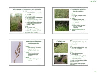 1/6/2013



             Red Fescue: both clumping and running                                                                                                                                         Flowers are typical for
                                                               Size:                                                                                                                         fescue grasses
                                                                      1-2 ft tall (to 3 ft flowering stalks)
                                                                      2+ ft wide                                                                                                           Blooms:
                                                                                                                                                                                                           In spring – usually Apr-June in
                                                               Growth form: variable                                                                                                                       S. Bay
                                                                      Cool-season perennial grass; evergreen
                                                                       with summer water                              http://www.graniteseed.com/seeds/seed.php/Festuca_rubra
                                                                                                                                                                                            Flowers:
                                                                      Some forms spread readily – usually                                                                                                 On taller flowering stems
                                                                       noted as ‘creeping’                                                                                                                 Wind-pollinated – flowers wave
                                                                      Other variants clumping/mounding if                                                                                                  in the breeze
                                                                       un-mowed; spreading modestly via
                                                                       rhizomes if mowed                                                                                                    Seeds:
                                                                                                                                                                                                           Provide food for seed-eating
                                                               Foliage:                                                                                                                                    birds and other small
                                                                      Fine-textured leaves                                                                                                                 creatures
                                                                      Medium green to more blue-green
                                                                                                                                                                                            Vegetative reproduction: via
                                                                      Larval food for Skipper buterflies                                                                                         rhizomes
    http://www.graniteseed.com/seeds/seed.php/Festuca_rubra
                                                               Roots: deep roots + rhizomesProject SOUND
                                                                                           ©                                                                                                                                 © Project SOUND
                                                                                                                                                                                     http://www.answers.com/topic/dudleya




                                                                                                                                                                                     Soils:
                                                                      Habitat considerations:                                    Easily grown                                               Texture: just about any – clays are
                                                                                                                                                                                             good
                                                                         Native Fescues                                                                                                     pH: any local

                                                                  Foliage                                                                                                           Light:
                                                                        Larger herbivores: deer, rabbits                                                                               Best in part-sun in our area; good
                                                                        Skipper butterflies                                                                                             choice for under trees
                                                                        Nesting material for birds                                                                                     Fine for shade

                                                                  Seeds                                                                                                             Water:
                                                                        Eaten by many seed-eating                 http://www.baynatives.com/plants/Festuca-rubra-'Point-Molate'/           Winter: needs good winter
                                                                         creatures including birds,                                                                                          rains/irrigation
                                                                         insects, etc.                                                                                                      Summer: moderate to regular to
                                                                                                                                                                                                 keep it looking nice – less than
                                                                  Roots
                                                                                                                                                                                                 conventional sod lawn
                                                                        Good for the below-ground
                                                                         ecosystem                                                                                                   Fertilizer: little/none needed; fine with
                                                                                                                                                                                         occasional light dose

                                                                                                                                                                                     Other: tolerates garden conditions –
                                                                                                                                                                                         easy-to-grow
http://www.callutheran.edu/wf/chap/flowers/fwr-1381.htm
                                                                                                 © Project SOUND                                                                                                             © Project SOUND




                                                                                                                                                                                                                                                    10
 