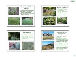 1/6/2013



                                                                                          Garden uses for Red
                                                                                                                                                                                                                                                                         ‘Molate’ Red Fescue
                                                                                               Fescue
                                                                                                                                                                                                                                                                        CA native cultivar from N. CA
                                                                                          Erosion control on hillsides/slopes                                                                                                                                          A creeper/clumper
                                                                                          As a mowed or un-mowed lawn –                                                                                                                                                Mow or not – makes a ‘bumpy
                                                                                                                                                                                                                                                                         lawn’ if not
                                                                                           creeping forms fill an area
                                                                                                                                                                                                                                                                        Needs occasional to regular
                                                                                          For its habitat value – especially if                                                                                                                                         summer water in our area
   http://www.wnps.org/landscaping/herbarium/pages/festuca-rubra.html
                                                                                           managed for habitat                                                                                                                                                          Good for part-shade/under
                                                                                                                                                                           http://photobotanic.photoshelter.com/image/I0000Gq_hp6FuY7k                                   trees




http://daamaaextweb.gnb.ca/010-002/Details.aspx?Culture=fr-CA&Id=194&Pid=1884                                                                                                                                                                                             http://www.bringingbackthenatives.net/betty-nelson
                                                                                              http://www.anniesannuals.com/plt_lst/lists/general/lst.gen.asp?prodid=422
                                                                                                                                                 © Project SOUND                                                                                                                                               © Project SOUND
                                                                                                                                                                           http://www.anniesannuals.com/plt_lst/lists/general/lst.gen.asp?prodid=3439




                                                                                                     ‘Patrick’s Point’                                                                                                                                                Life-friendly grass
                                                                                             Bluer color – like ‘Canyon Prince’ Wild                                                                                                                                    management
                                                                                              Rye
                                                                                             Narrower leaves – more delicate                                                                                                                                      Choose CA native species (or
                                                                                              looking – and smaller than species
                                                                                                                                                                                                                                                                    natural cultivars)
                                                                                             Needs part-shade to dappled shade
                                                                                             Not for hot gardens                                                                                                                                                  Leave some/all un-mowed for
                                                                                                                                                                                                                                                                    seed (at least until seed has set)
   http://picasaweb.google.com/lh/photo/yG_BWGyr5gCqdv6QZGPdwg
                                                                                                                                                                          http://www.pacifichorticulture.org/articles/a-wind-blown-garden-on-a-sea-ranch-bluff/     – some of the best habitat value
                                                                                                                                                                                                                                                                    of grasses lies in their seeds

                                                                                                                                                                                                                                                                   Don’t tidy up all the dead leaves
                                                                                                                                                                                                                                                                    every year – save some for bird
                                                                                                                                                                                                                                                                    nest-building & insects/micro-
                                                                                                                                                                                                                                                                    organisms

                                                                                                                                                                                                                                                                   Consider combining grasses with
                                                                                                                                                                                                                                                                    compatible species of annuals,
                                                                                                                                                                                                                                                                    perennials & bulbs
                                                                                                                                                 © Project SOUND                                                                                                                                               © Project SOUND
      http://grownatives.cnps.org/2010/08/16/seasonal-color-august-california-fuchsia/




                                                                                                                                                                                                                                                                                                                                      11
 