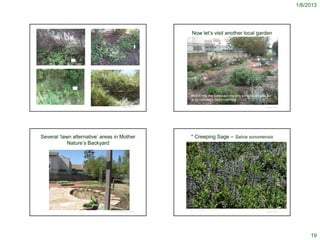 1/6/2013




                                                           Now let’s visit another local garden




                                                          Notice how the hardscape not only provides access, but
                                                          is an important design element

                                   © Project SOUND                                                          © Project SOUND




Several ‘lawn alternative’ areas in Mother                * Creeping Sage – Salvia sonomensis
            Nature’s Backyard




                                                     J.S. Peterson @ USDA-NRCS PLANTS Database
                                   © Project SOUND                                                          © Project SOUND




                                                                                                                                   19
 