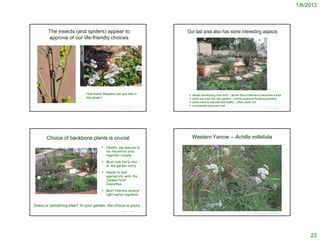 1/6/2013



        The insects (and spiders) appear to                          Our last area also has some interesting aspects
        approve of our life-friendly choices




                             How many Skippers can you see in           shade developing over time – as the Blue Elderberry becomes a tree
                             this photo?                                parts are near the rain garden – some seasonal flooding possible
                                                                        parts need to tolerate foot traffic – other parts not
                                                   © Project SOUND
                                                                        compacted clay-loam soil                                © Project SOUND




       Choice of backbone plants is crucial                              Western Yarrow – Achilla millefolia
                                       Ideally, one species to
                                        tie the entire area
                                        together visually

                                       Must look fairly nice –
                                        at the garden entry

                                       Needs to look
                                        appropriate with the
                                        ‘Yankee Point’
                                        Ceanothus

                                       Must tolerate several
                                        light/water regimens


Grass or something else? In your garden, the choice is yours.
                                                   © Project SOUND
                                                                                                                       J.S. Peterson @ USDA-NRCS PLANTS Database




                                                                                                                                                                        23
 