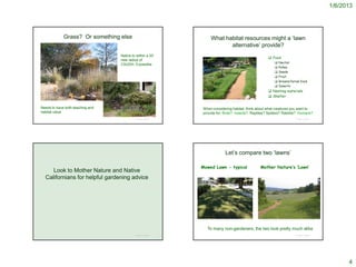 1/6/2013




                                 Grass? Or something else                                                   What habitat resources might a ‘lawn
                                                                                                                   alternative’ provide?
                                                              Native to within a 20
                                                                                                                                                                             Food
                                                              mile radius of
                                                                                                                                                                                           Nectar
                                                              CSUDH, if possible
                                                                                                                                                                                           Pollen
                                                                                                                                                                                           Seeds
                                                                                                                                                                                           Fruit
                                                                                                                                                                                           Greens/larval food
                                                                                                                                                                                           Insects
                                                                                                                                                                             Nesting materials
http://www.penick.net/digging/index.php?s=wildflower+center
                                                                                                                                                                             Shelter
                                                                                                 http://www.penick.net/digging/index.php?s=wildflower+center



Needs to have both teaching and                                                                When considering habitat, think about what creatures you want to
habitat value                                                                                  provide for: Birds? Insects? Reptiles? Spiders? Rabbits? Humans?
                                                                       © Project SOUND                                                                                                                                © Project SOUND




                                                                                                                                  Let’s compare two ‘lawns’

                                                                                            Mowed Lawn - typical                                                Mother Nature’s ‘Lawn’
        Look to Mother Nature and Native
     Californians for helpful gardening advice




                                                                                         http://austindhill.com/how-a-drought-encourages-devotional-life/      http://camissonia.blogspot.com/2010/04/treks-on-santa-rosa-plateau-vernal-pool.html




                                                                                                      To many non-gardeners, the two look pretty much alike
                                                                       © Project SOUND                                                                                                                                © Project SOUND




                                                                                                                                                                                                                                                           4
 