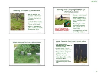 1/6/2013




Creeping Wildrye is quite versatile                                Mowing your Creeping Wild Rye (or
                                                                          other native grass)
                        Any soil texture, but                                                                                                              Mowing is tolerated well
                         should be well-drained
                                                                                                                                                            Mowing changes how it
                        Tolerates alkali soils &                                                                                                            looks - will look just like
                         salty soils                                                                                                                         a turf grass (Bermuda
                        Low/no fertilizer needed                                                                                                            Grass)

                        Full sun to light shade                                                                                                            Mow every 3-4 weeks
                                                                                                                                                             during growth season
                                                                                           http://www.albrightseed.com/wildryeswalefilter.htm



                        Water: it takes what it                                                                                                             only – or just once to
                         gets – will stay green with        Hint: this grass spreads by                                                                      keep it lower
                         some summer water                  runners – may want to grow in
                                                            contained area or limit water                                                                   Set mower high – as high
                                          © Project SOUND    http://www.treehugger.com/files/2008/09/review-push-reel-mower-lawnmower-sunlawn-lmm-40.php
                                                                                                                                                             as it will go is best
                                                                                                                                                                              © Project SOUND




                                                                Dune (Seaside) Bentgrass – Agrostis pallens
Seaside Bentgrass/Thin Grass – Agrostis pallens
                                                             Cool-season perennial
                                                              bunchgrass that also spreads via
                                                              runners & reseeding

                                                             Summer dormant in nature –
                                                              turns an attractive golden brown

                                                             Native to dunes – does great in
                                                              sandy and clay soils

                                                             Full sun to part-shade

                                                             Water: Zone 1-2 to 2-3 (for
                                                              some summer green)

                                                             Use as an ornamental grass,
                                                              meadow grass or (small) mowed
                                                              lawn
                                          © Project SOUND                                                                                                                     © Project SOUND




                                                                                                                                                                                                      7
 