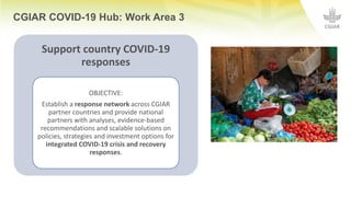 CGIAR COVID-19 Hub: Work Area 3
Support country COVID-19
responses
OBJECTIVE:
Establish a response network across CGIAR
partner countries and provide national
partners with analyses, evidence-based
recommendations and scalable solutions on
policies, strategies and investment options for
integrated COVID-19 crisis and recovery
responses.
 