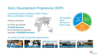 Dairy Development Programme (DDP)
8 focus countries
In 2019 we trained
FrieslandCampina initiated a DDP in Asia,
Africa and Eastern Europe
77,934 farmers
& we directly & indirectly
reached >250,000 farmers
We develop
local
farmers in
three ways
Increase
productivit
y per cow
Support
farmers in
getting
a market for
their milk
Raise raw
milk
quality
and safety
A variety of tools to develop local farmers
Training Expert advice Knowledge partnerships Infrastructure construction Field trips to the Netherlands
 