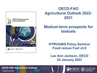 OECD-FAO
Agricultural Outlook 2022-
2031
Medium-term prospects for
biofuels
IFPRI/AMIS Policy Seminar
Food versus Fuel v2.0
Lee Ann Jackson, OECD
24 January 2023
 