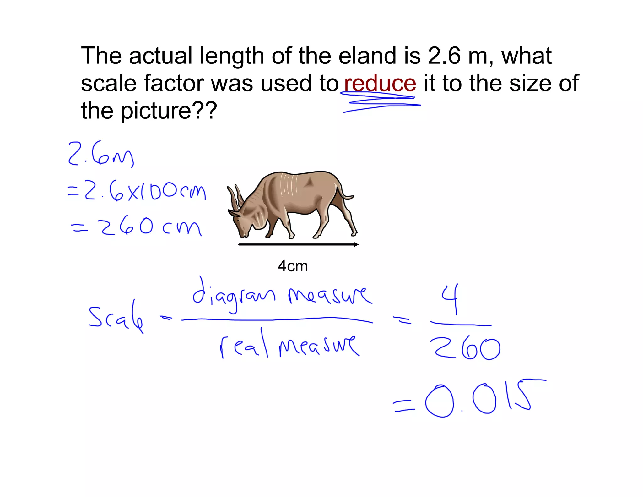 The actual length of the eland is 2.6 m, what
scale factor was used to reduce it to the size of
the picture??




                   4cm
 