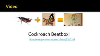 Cockroach Beatbox!
https://www.youtube.com/watch?v=z4jTTyKcrp8
 