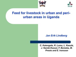 Feed for livestock in urban and peri-
urban areas in Uganda
Jan Erik Lindberg
C. Katongole, R. Lumu, L. Kasule,
J. Nambi-Kasozi, F. Bereeba, M.
Presto and E. Ivarsson
 