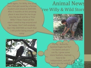 Hello again, I’m Willy, the scrub          Animal News:
hare that got saved by a former
student and raised at DAKTARI.    ...