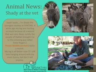 Animal News:
Shady at the vet
  Iaaah iaaah… I’m Shady the
youngest donkey at DAKTARI.
    A while ago my leg was
hurting ...
