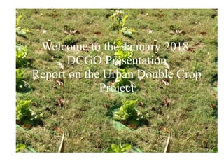 Welcome to the January 2018
DCGO Presentation
Report on the Urban Double Crop
Project
 