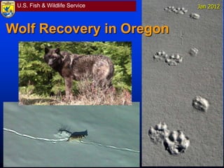 U.S. Fish & Wildlife Service Jan 2012
Wolf Recovery in Oregon
 