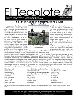 Newsletter of the Santa Barbara Audubon Society, Inc.
Volume 52, Issue 3		 December­2013—January 2014
Celebrating 50 Years of
Conservation and Advocacy!
The mission of the Santa Barbara Audubon Society is to help conserve and restore the earth’s natural ecosystems
and improve its biological diversity, principally in the Santa Barbara area, and to connect people with birds and
nature through education, science-based projects and advocacy.
Preparations for Santa Barbara
Audubon’s annual Christmas Bird Count
(CBC), to be held Saturday, January 4th,
2014, are well underway as compilers
Rebecca Coulter, Jared Dawson and Joan
Murdoch work out the hundreds of de-
tails required to conduct a bird survey of
this scope. Santa Barbara’s CBC is usu-
ally at the top of the list for number of
participants—fortunately, we are lucky
to have such a rich and diverse circle
to cover! Carving out and covering the
count circle is a complex puzzle. Finding
the right fit for eager birders and adequate
coverage for each type of habitat are the
keys to our success. Not all birders sign up for a multi-mile
mountain hike on count day, but how will we cover the vast
amount of dense chaparral and steep mountain slopes? Just
how many birders are too many in one group? Where do we
assign eager beginners and with which leaders? Do we have
all the necessary permissions for private property: the zoo,
the water treatment plants, the reservoirs? And what about
boat donors? These considerations and many more consume
the hearts and minds of the compilers in November and De-
cember, culminating in the arrival of count day and the unex-
The 114th Audubon Christmas Bird Count
By Rebecca Coulter
pected surprises it always holds.
We take pride as a community not
only in the very high numbers of species
found annually, but also in the quality
of our bird science. We are all having a
hand in helping to form a vital picture of
wintering avian distribution throughout
North America and increasingly in Cen-
tral and South America.
For more information about the
114th count, go to www.casbbirdcount.
org.
Before the count, you can help us by
scouting your neighborhood or anywhere
else within the count circle (which is de-
scribed at the website above) for the interesting and unusual
birds listed below.
On the evening of count day, please join us at the com-
pilation dinner at the Santa Barbara Museum of Natural
History in Fleischmann Auditorium. The potluck dinner be-
gins promptly at 6:00 p.m. and the compilation countdown
at 7:00 p.m. Please bring your favorite salad, main dish or
dessert to share. If your group includes out-of-towners, they
may contribute drinks, bread, chips, etc. Please bring your
own service if possible.
blue-winged teal
greater scaup
mountain quail
common gallinule
virginia rail
lesser yellowlegs
Wilson’s snipe
Thayer’s gull
greater roadrunner
any owls other than great horned or barn
white-throated swift
anyhummingbirdsotherthanAnna’sorAllen’s
sapsuckers (other than red-breasted)
horned lark
any swallows
rock or pacific wrens
common raven
phainopepla
Nashville warbler
black-throated gray warbler
hermit warbler
Wilson’s warbler
any tanagers
any grosbeaks
lark sparrow
any orioles
Lawrence’s goldfinch
PLUS: any montane species such as: mountain chickadee, Townsend’s solitaire, varied thrush, brown creeper or cassin’s
finch.
Searching the foothills
Photo Liz Muraoka
 