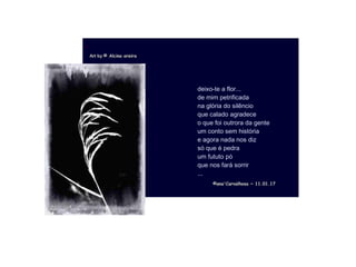 .
©ana'Carvalhosa ~©ana'Carvalhosa ~ 11.01.1711.01.17
deixo-te a flor...
de mim petrificada
na glória do silêncio
que calado agradece
o que foi outrora da gente
um conto sem história
e agora nada nos diz
só que é pedra
um fututo pó
que nos fará sorrir
...
Art byArt by © Alcina oreira© Alcina oreira
 