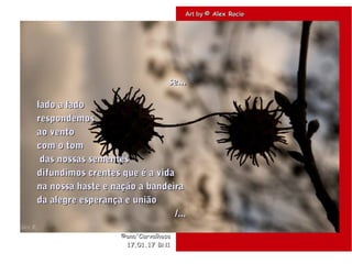 . Art byArt by © Alex Rocio© Alex Rocio
©ana'Carvalhosa©ana'Carvalhosa
17.01.1717.01.17 BN1BN1
se...se...
lado a ladolado a lado
respondemosrespondemos
ao ventoao vento
com o tomcom o tom
das nossas sementesdas nossas sementes
difundimos crentes que é a vidadifundimos crentes que é a vida
na nossa haste e nação a bandeirana nossa haste e nação a bandeira
da alegre esperança e uniãoda alegre esperança e união
/.../...
 