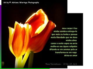.
Art byArt by © Adriana Wieringa Photographs© Adriana Wieringa Photographs
.
meu corpo é teumeu corpo é teu
minha sombra entrego-teminha sombra entrego-te
que mais eu tenha e possuaque mais eu tenha e possua
nesta liberdade que me duranesta liberdade que me dura
minha almaminha alma
como o vento sopra na areiacomo o vento sopra na areia
molha-se nas águas salgadasmolha-se nas águas salgadas
difunde-se em aromas pelo ardifunde-se em aromas pelo ar
transforma-se em vagatransforma-se em vaga
deixa-se amardeixa-se amar
©ana'Carvalhosa-©ana'Carvalhosa- 17.01.1717.01.17, BN1, BN1
 