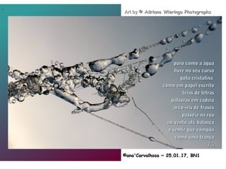 .
©ana'Carvalhosa ~©ana'Carvalhosa ~ 25.01.1725.01.17, BN1, BN1
Art byArt by © Adriana Wieringa Photographs© Adriana Wieringa Photographs
puro como a águapuro como a água
livre no seu cursolivre no seu curso
gota cristalinagota cristalina
como em papel escritocomo em papel escrito
teias de letrasteias de letras
palavras em cadeiapalavras em cadeia
arco-iris de frasesarco-iris de frases
passeia na ruapasseia na rua
ao vento até balançaao vento até balança
o sentir que compôso sentir que compôs
como uma trançacomo uma trança
/.../...
 