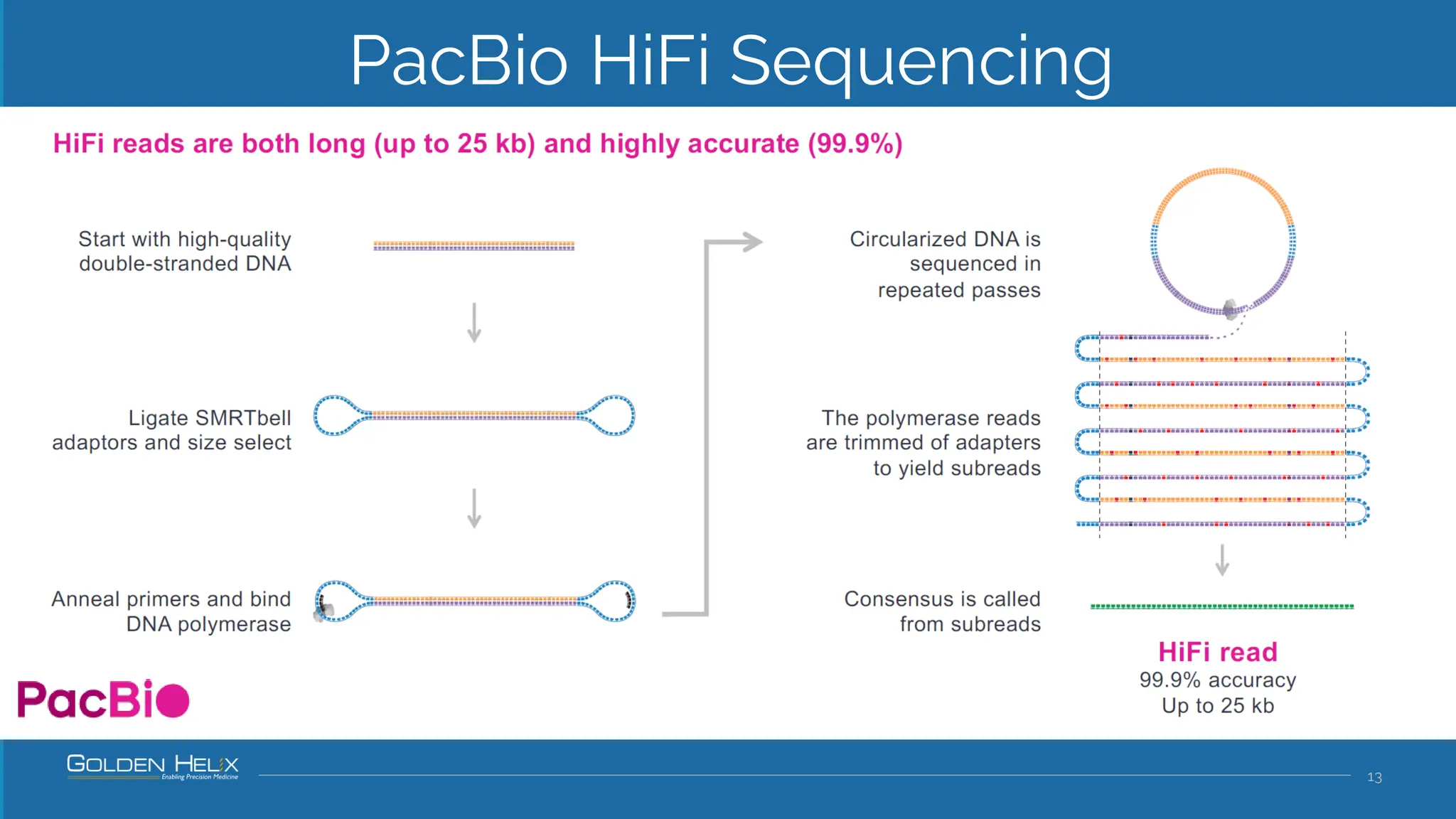 13
PacBio HiFi Sequencing
 