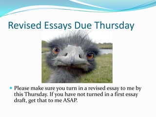 Revised Essays Due Thursday




 Please make sure you turn in a revised essay to me by
 this Thursday. If you have not turned in a first essay
 draft, get that to me ASAP.
 