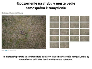 Upozornenie na chybu v meste vedie
samosprvu k zamysleniu
Po zverejnen podnetu s nzvom Kultra ps?karov za?name uva?ova? o kampani, ktor by
upozorovala ps?karov, ?e exkrementy treba upratova?.
 