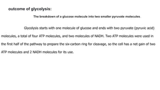 outcome of glycolysis:
The breakdown of a glucose molecule into two smaller pyruvate molecules.
Glycolysis starts with one molecule of glucose and ends with two pyruvate (pyruvic acid)
molecules, a total of four ATP molecules, and two molecules of NADH. Two ATP molecules were used in
the first half of the pathway to prepare the six-carbon ring for cleavage, so the cell has a net gain of two
ATP molecules and 2 NADH molecules for its use.
 