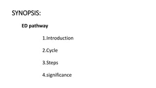SYNOPSIS:
ED pathway
1.Introduction
2.Cycle
3.Steps
4.significance
 