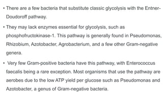 • There are a few bacteria that substitute classic glycolysis with the Entner-
Doudoroff pathway.
• They may lack enzymes essential for glycolysis, such as
phosphofructokinase-1. This pathway is generally found in Pseudomonas,
Rhizobium, Azotobacter, Agrobacterium, and a few other Gram-negative
genera.
• Very few Gram-positive bacteria have this pathway, with Enterococcus
faecalis being a rare exception. Most organisms that use the pathway are
aerobes due to the low ATP yield per glucose such as Pseudomonas and
Azotobacter, a genus of Gram-negative bacteria.
 