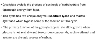 • Glyoxylate cycle is the process of synthesis of carbohydrate from
fats(obtain energy from fats).
• This cycle has two unique enzyme- isocitrate lyase and malate
synthase which bypass some of the reaction of TCA cycle.
• The primary function of the glyoxylate cycle is to allow growth when
glucose is not available and two-carbon compounds, such as ethanol and
acetate, are the only sources of carbon.
 