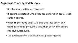 Significance of Glyoxylate cycle:
• It is bypass reaction of TCA cycle
• It occurs in bacteria when they are cultured in acetate rich
carbon source.
• When Higher fatty acids are oxidized into acetyl coA
without forming pyruvate acids, then acetyl coA enters
into glyoxylate cycle.
• The glyoxylate cycle is an example of gluconeogenesis
 