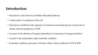Introduction:
• Glycolysis is also known as Embden-Meyerhof pathway
• It takes place in cytoplasm of the cell
• Glycolysis is defined as the sequence of reactions converting glycose to pyruvate or
lactate with the production of ATP
• It occurs in the absence of oxygen (anaerobic) or in presence of oxygen (aerobic)
• Lactate is the end product under anaerobic condition
• In aerobic condition, pyruvate is formed, which is then oxidized to CO2 & H20.
 