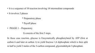 • It is a sequence of 10 reaction involving 10 intermediate compounds
• It involves 2 phases
* Preparatory phase
* Payoff phase
• PHASE 1 – Preparatory
It consists of the first 5 steps.
In these case reaction, glucose is Enzymatically phosphorylated by ATP (first at
carbon 6 and later at carbon 1) to yield fructose 1,6 diphosphate which is then split
in half to yield 2 moles of the 3-carbon compound, glyceraldehyde 3-phosphate.
 