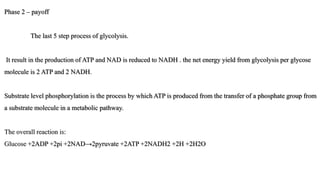 Phase 2 – payoff
The last 5 step process of glycolysis.
It result in the production of ATP and NAD is reduced to NADH . the net energy yield from glycolysis per glycose
molecule is 2 ATP and 2 NADH.
Substrate level phosphorylation is the process by which ATP is produced from the transfer of a phosphate group from
a substrate molecule in a metabolic pathway.
The overall reaction is:
Glucose ​+2ADP +2pi +2NAD→2pyruvate ​+2ATP +2NADH2 +2H +2H2O
 