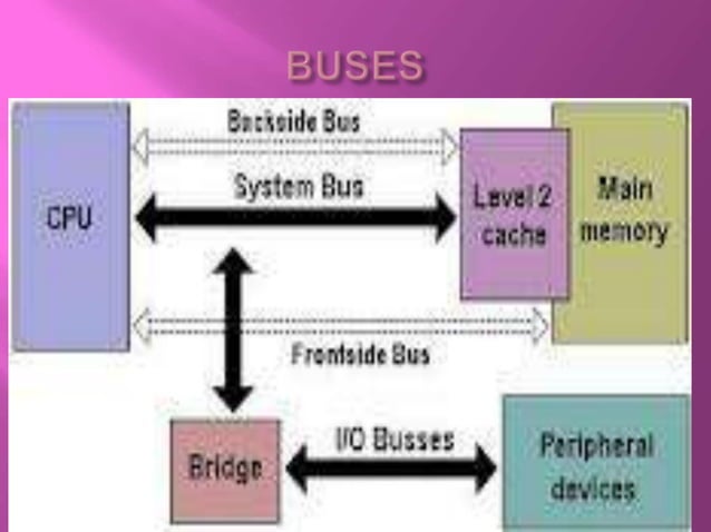 Buses in a computer | PPTX