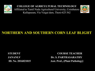STUDENT COURSE TEACHER
JANANI.V Dr. S. PARTHASARATHY
ID. No. 2016021015 Asst. Prof., (Plant Pathology)
COLLEGE OF AGRICULTURAL TECHNOLOGY
Affiliated to Tamil Nadu Agricultural University, Coimbatore
Kullapuram, Via Vaigai dam, Theni-625 562
NORTHERN AND SOUTHERN CORN LEAF BLIGHT
 