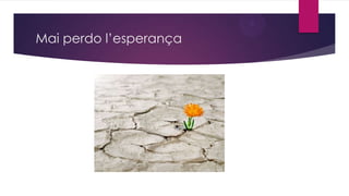 Mai perdo l’esperança

 