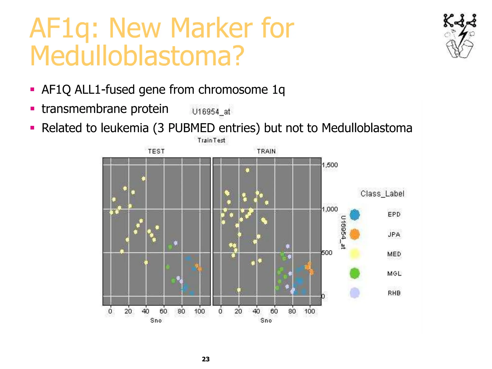 23
AF1q: New Marker for
Medulloblastoma?
 AF1Q ALL1-fused gene from chromosome 1q
 transmembrane protein
 Related to leukemia (3 PUBMED entries) but not to Medulloblastoma
 