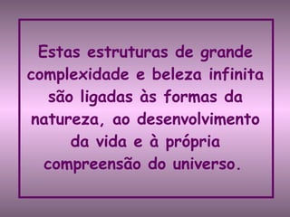Estas estruturas de grande complexidade e beleza infinita são ligadas às formas da natureza, ao desenvolvimento da vida e à própria compreensão do universo.   