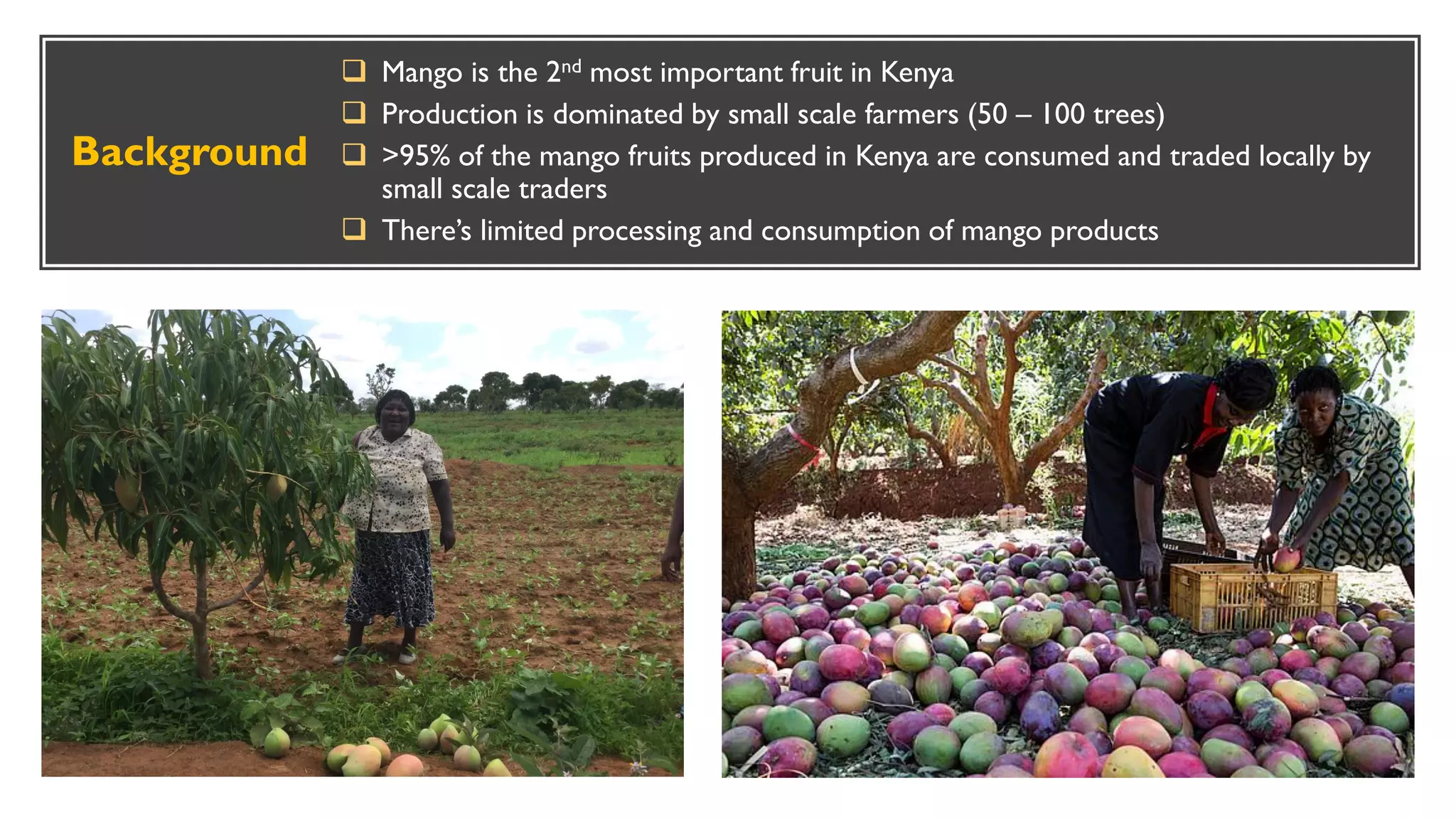 Small-scale processing of mango fruits: putting money in farmers ...