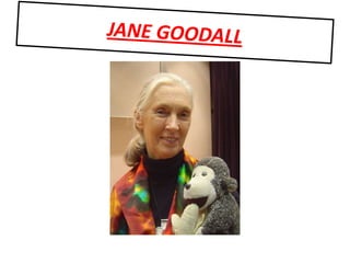 JANE GOODALL 