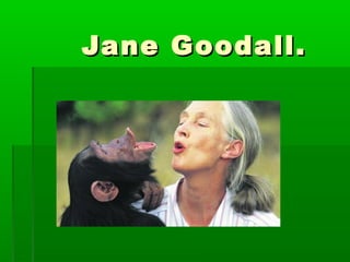 Jane Goodall.

 