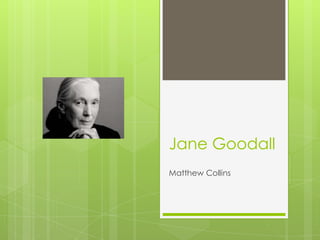 Jane Goodall
Matthew Collins

 