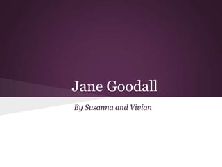 Jane Goodall
By Susanna and Vivian
 