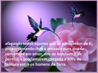 afagando todos aqueles que se aproximem de ti,
proporcionando-lhes a amizade pura que se
converterá em amor, rico de bondade e de
perdão, a proclamarem chegada a hora de
ternura entre os homens da Terra.
 