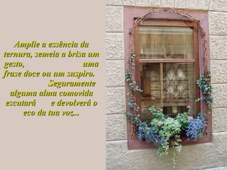 Amplie a essência da ternura, semeia a brisa um gesto,  uma frase doce ou um suspiro.  Seguramente alguma alma comovida escutará  e devolverá o eco da tua voz... 