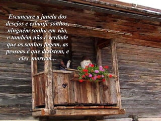 Escancare a janela dos desejos e esbanje sonhos, ninguém sonha em vão, e também não é verdade que os sonhos fogem, as pessoas é que desistem, e eles  morrem... 