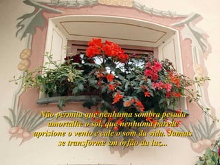 Não permita que nenhuma sombra pesada amortalhe o sol, que nenhuma parede aprisione o vento e cale o som da vida. Jamais se transforme em órfão da luz... 